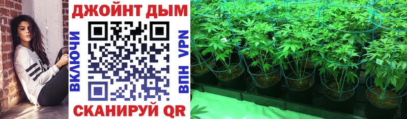 купить наркотик  Лахденпохья  Каннабис OG Kush 